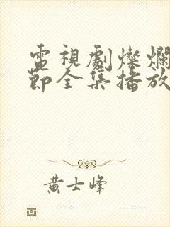 电视剧灿烂的季节全集播放免费观看