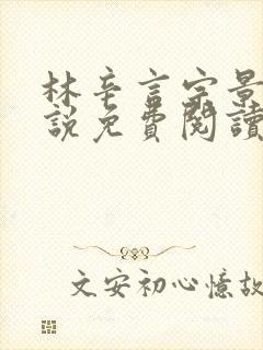 林辛言宗景灏小说免费阅读