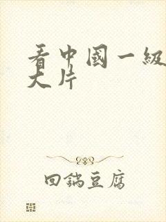 看中国一级特黄大片