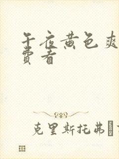 午夜黄色爽片免费看