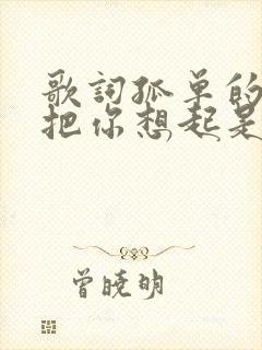 歌词孤单的夜里把你想起是什么