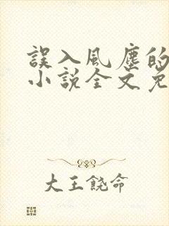 误入风尘的爱情小说全文免费阅读