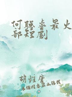 何聪睿最火的十部短剧