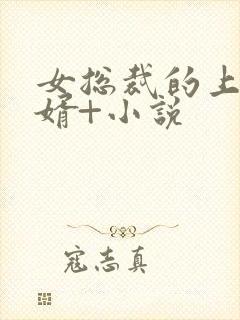 女总裁的上门女婿+小说