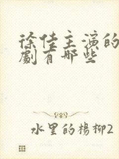 徐佳主演的电视剧有哪些