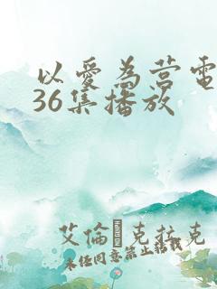 以爱为营电视剧36集播放