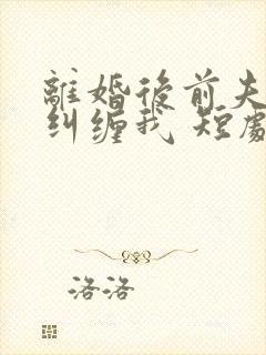 离婚后前夫总想纠缠我 短剧