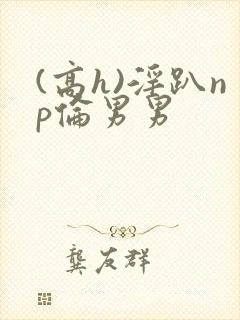 (高h)淫趴np伦男男
