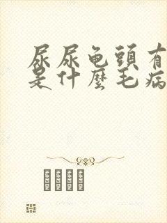 尿尿龟头有点痛是什么毛病