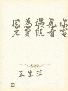 因为遇见你全集免费观看电视剧