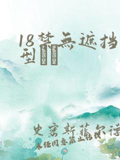 18禁无遮挡型