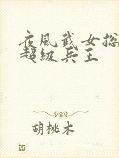 夜风武女总裁的超级兵王