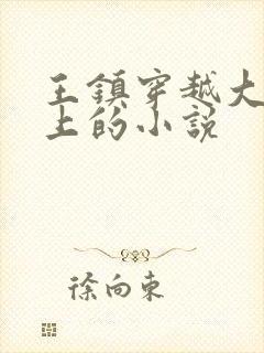 王镇穿越大明皇上的小说