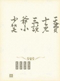 少爷三十天后会笑小说免费阅读无弹窗