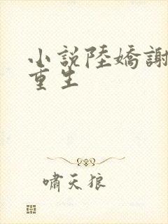 小说陆娇谢云瑾重生