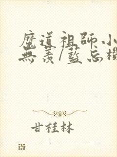 魔道祖师小说魏无羡/蓝忘机 小说