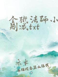 全职法师小说无删减txt