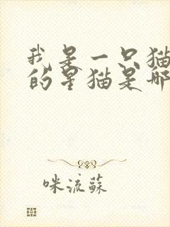 我是一只猫快乐的星猫是哪个动画片