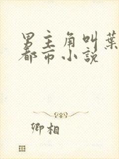 男主角叫叶楚的都市小说