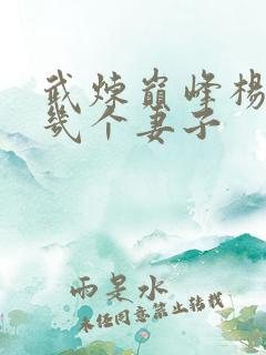 武炼巅峰杨开有几个妻子