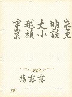 穿越大明朱宁衍崇祯小说免费阅读