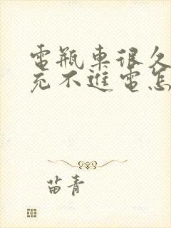 电瓶车很久没骑充不进电怎么办