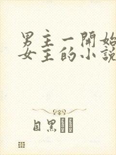 男主一开始嫌弃女主的小说