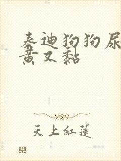 泰迪狗狗尿液又黄又黏