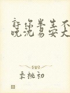 许你半生不见顾晚沈易安大结局