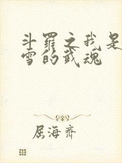 斗罗之我是千仞雪的武魂