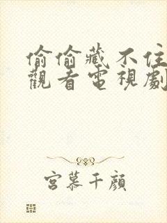 偷偷藏不住在线观看电视剧免费观看