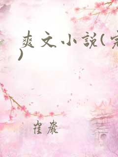 爽文小说(完结)