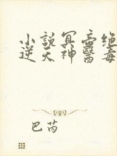 小说冥帝绝宠:逆天神医毒妃