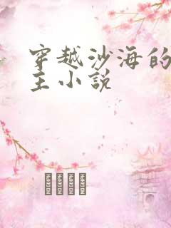 穿越沙海的双男主小说