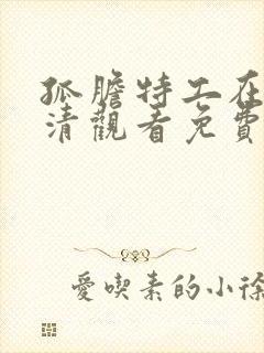 孤胆特工在线高清观看免费