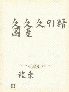 久久久91精品国产