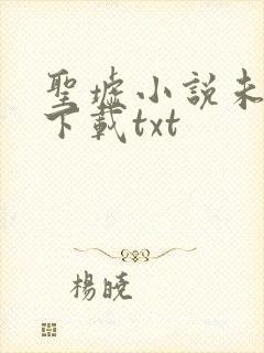 圣墟小说未删版下载txt