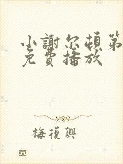 小谢尔顿第六季免费播放