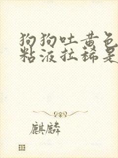 狗狗吐黄色泡沫粘液拉稀是什么原因