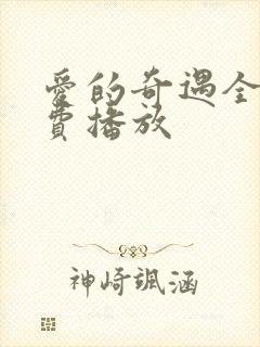 爱的奇遇全集免费播放