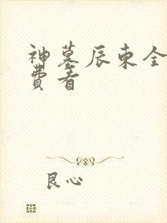 神墓辰东全文免费看