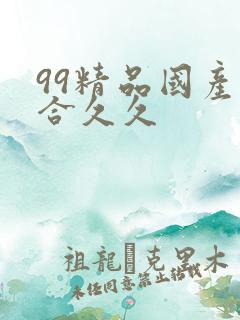 99精品国产综合久久