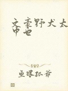 文豪野犬太宰和中也