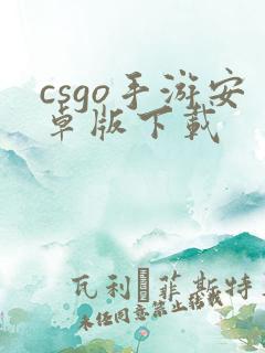 csgo手游安卓版下载