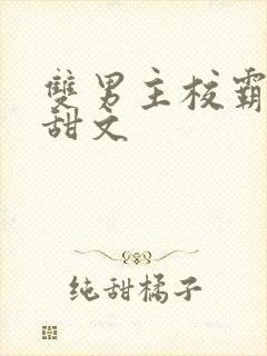 双男主校霸校园甜文