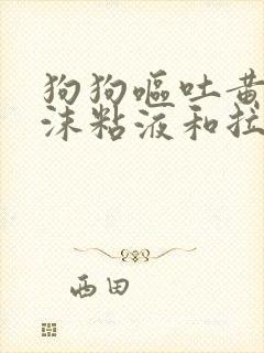 狗狗呕吐黄水泡沫粘液和拉稀