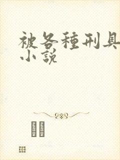 被各种刑具调教小说