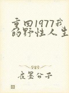重回1977我的野性人生视频