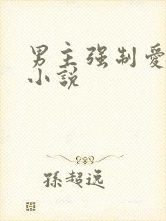 男主强制爱女主小说