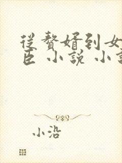 从赘婿到女帝宠臣 小说 小说